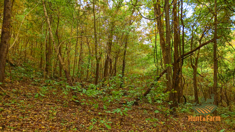 Still 2025-10-30 092500_1.56.1.png